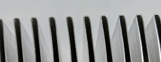 Folded-fin-rounded-crest