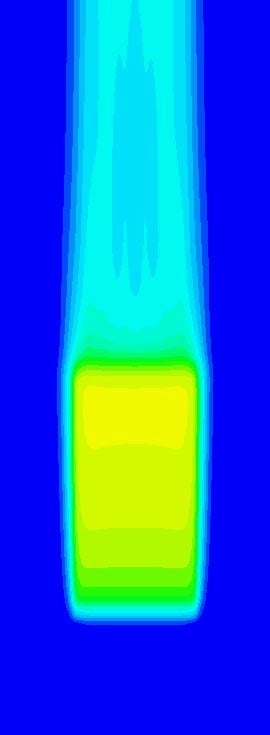 Natural Convection Plume