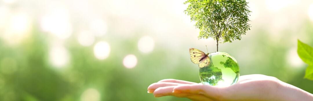 ESG Success Story: Reducing Hazardous Waste Disposal